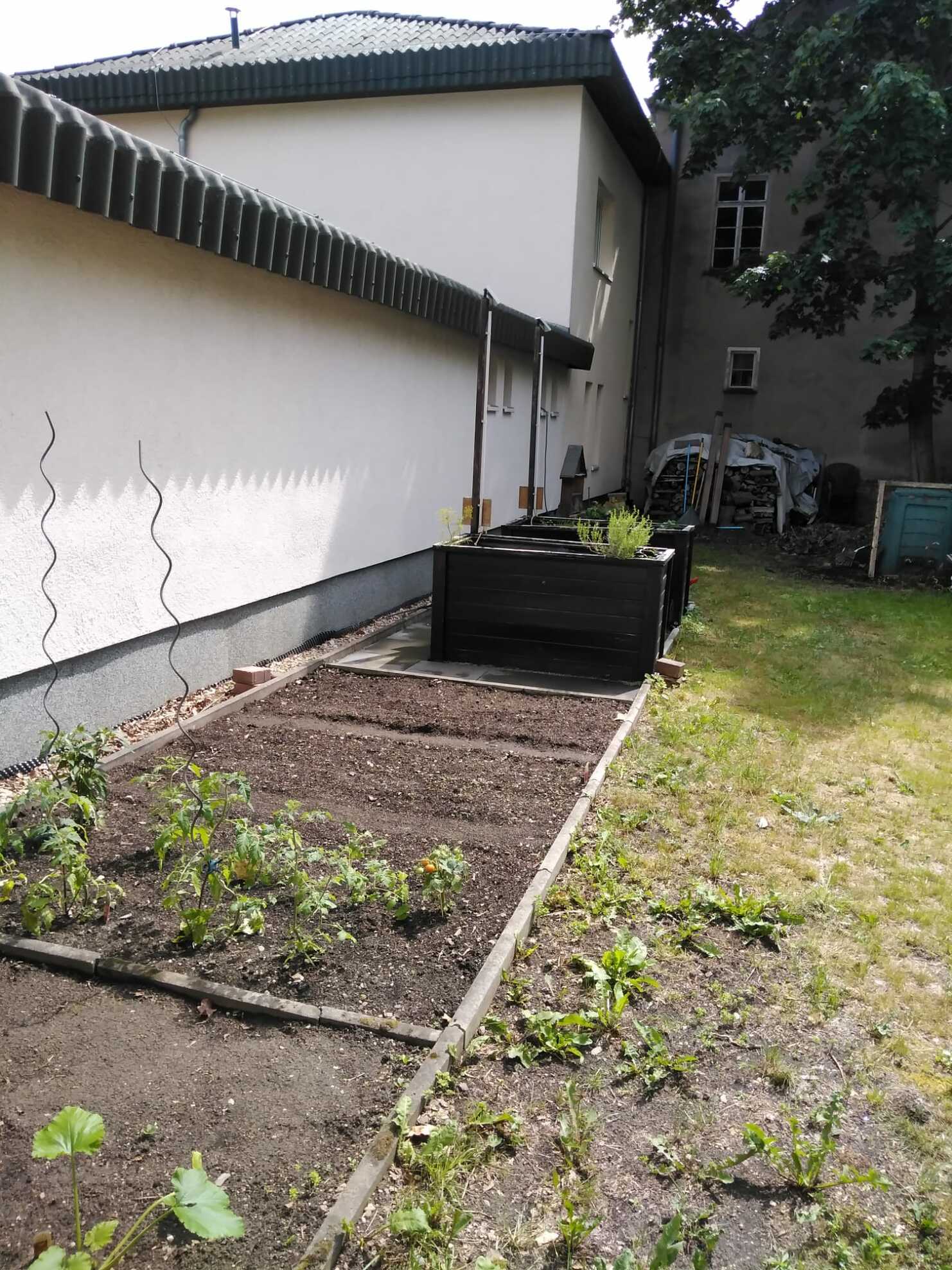 Idee Klimaschutz nebenan